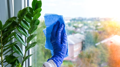 Mary Cleaning Services team at work